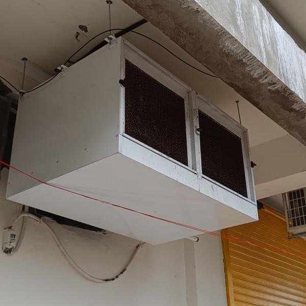 square 600 whatsapp image 2026 01 24 at 2.45.19 am